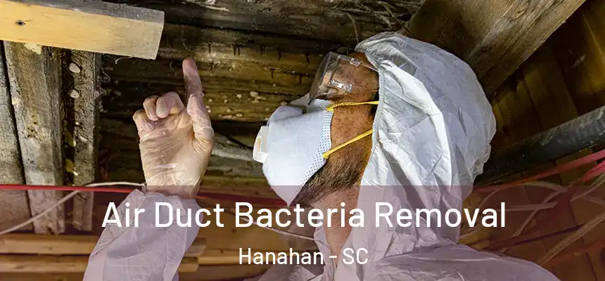  Air Duct Bacteria Removal Hanahan - SC