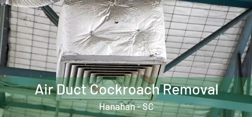  Air Duct Cockroach Removal Hanahan - SC