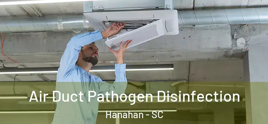  Air Duct Pathogen Disinfection Hanahan - SC