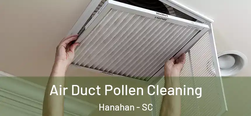  Air Duct Pollen Cleaning Hanahan - SC