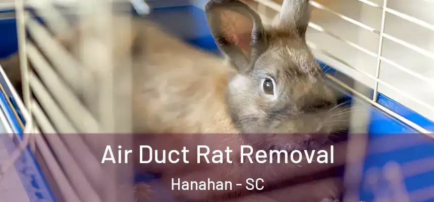  Air Duct Rat Removal Hanahan - SC