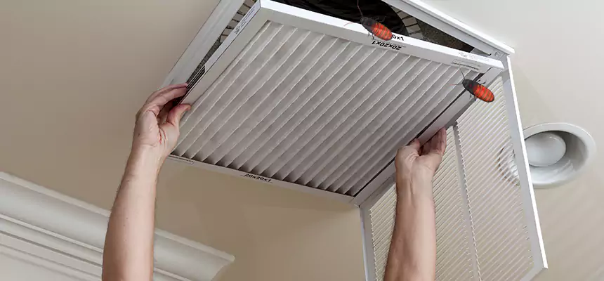 Preventive Cockroach-Proofing for Ducts in Hanahan