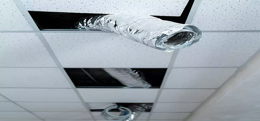 Our Air Duct Pet Hair Removal Services in Hanahan, SC