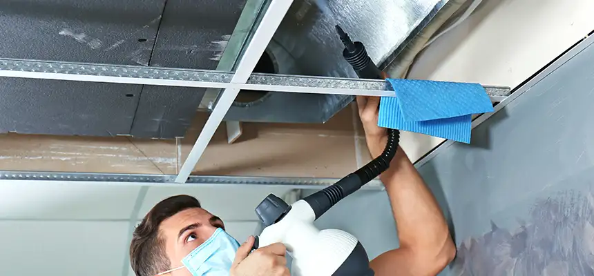 Our Air Duct Rodent Removal Services in Hanahan, SC