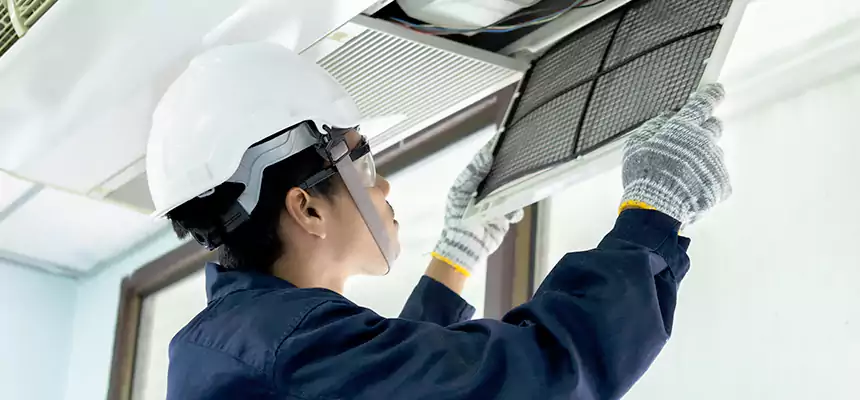 Our Mold & Mildew Removal from Air Ducts Services in Hanahan, SC