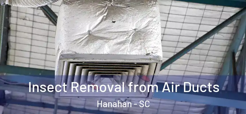  Insect Removal from Air Ducts Hanahan - SC