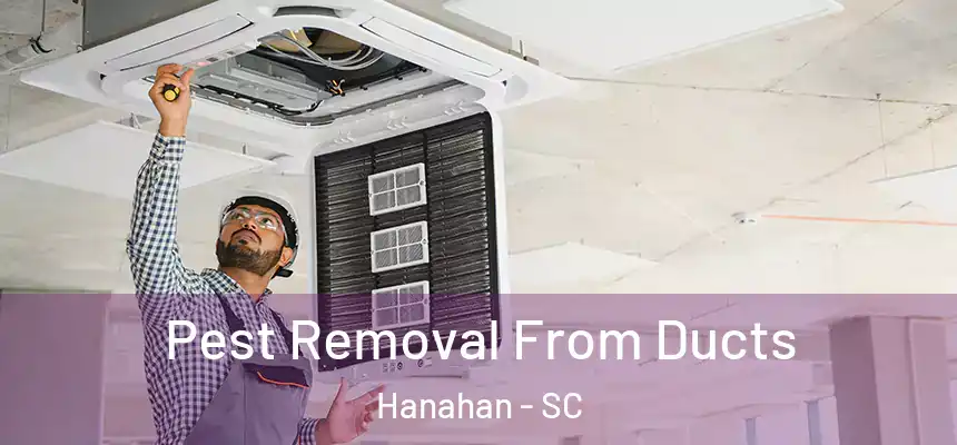  Pest Removal From Ducts Hanahan - SC