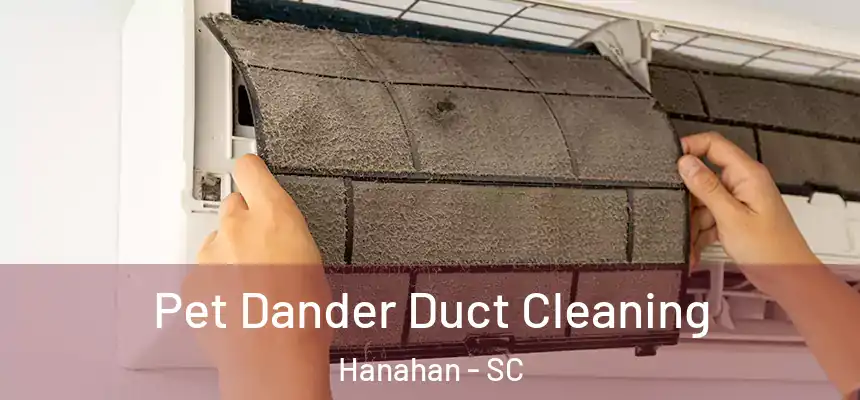  Pet Dander Duct Cleaning Hanahan - SC