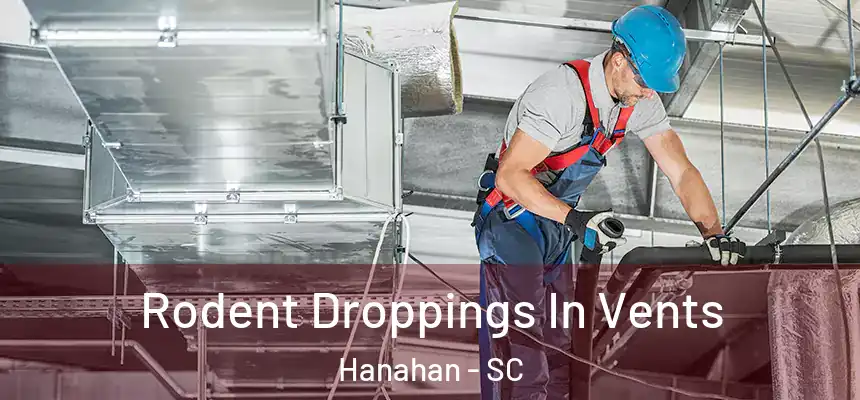  Rodent Droppings In Vents Hanahan - SC