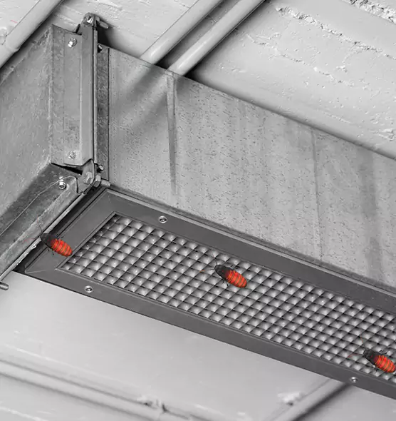 About Air Duct Cockroach Removal in Hanahan, SC