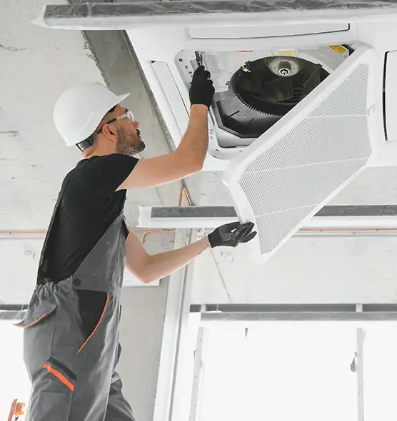 About Air Duct Rodent Removal in Hanahan, SC