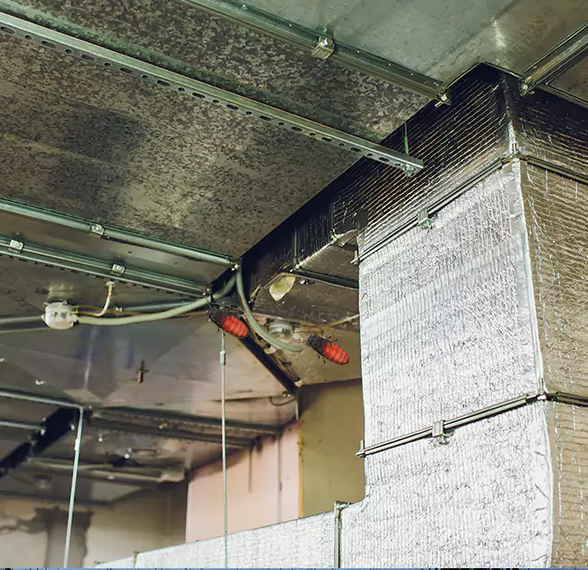 Why Homeowners & Businesses Trust Us in Hanahan, SC?