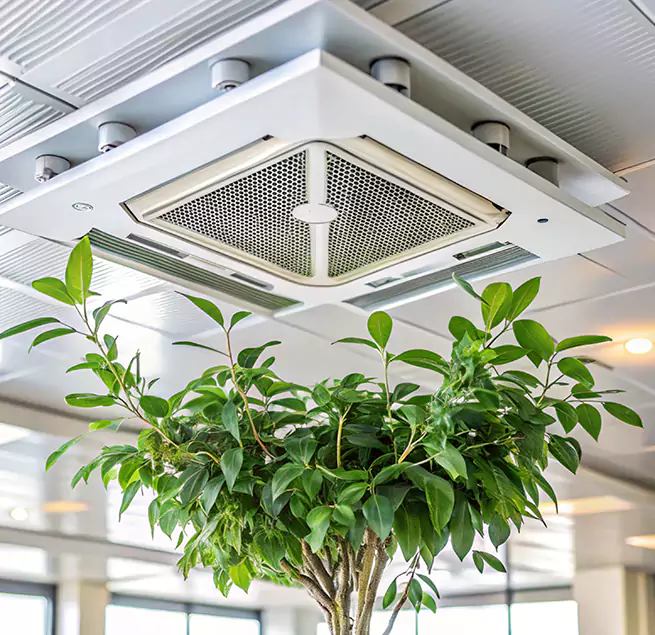 Why Homeowners & Businesses Trust Us in Hanahan, SC?